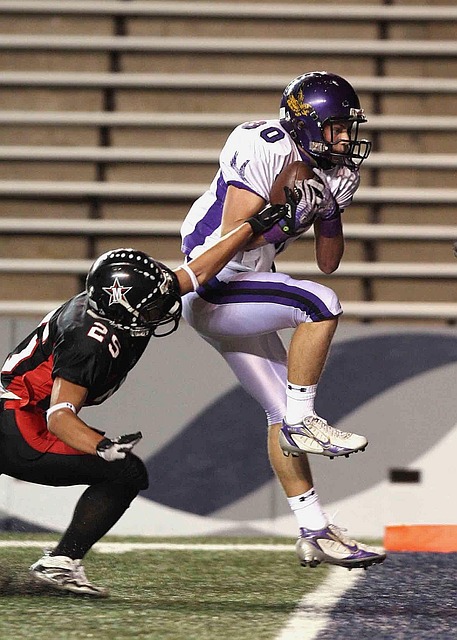 家和文化的 家和文化的